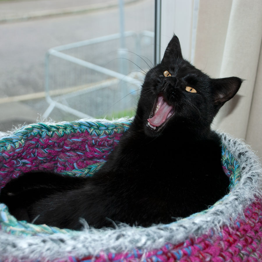 Purdy-basket